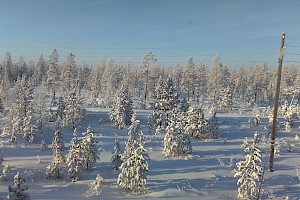 Сквозь таёжные зори мглистые тянем к людям мы солнце чистое